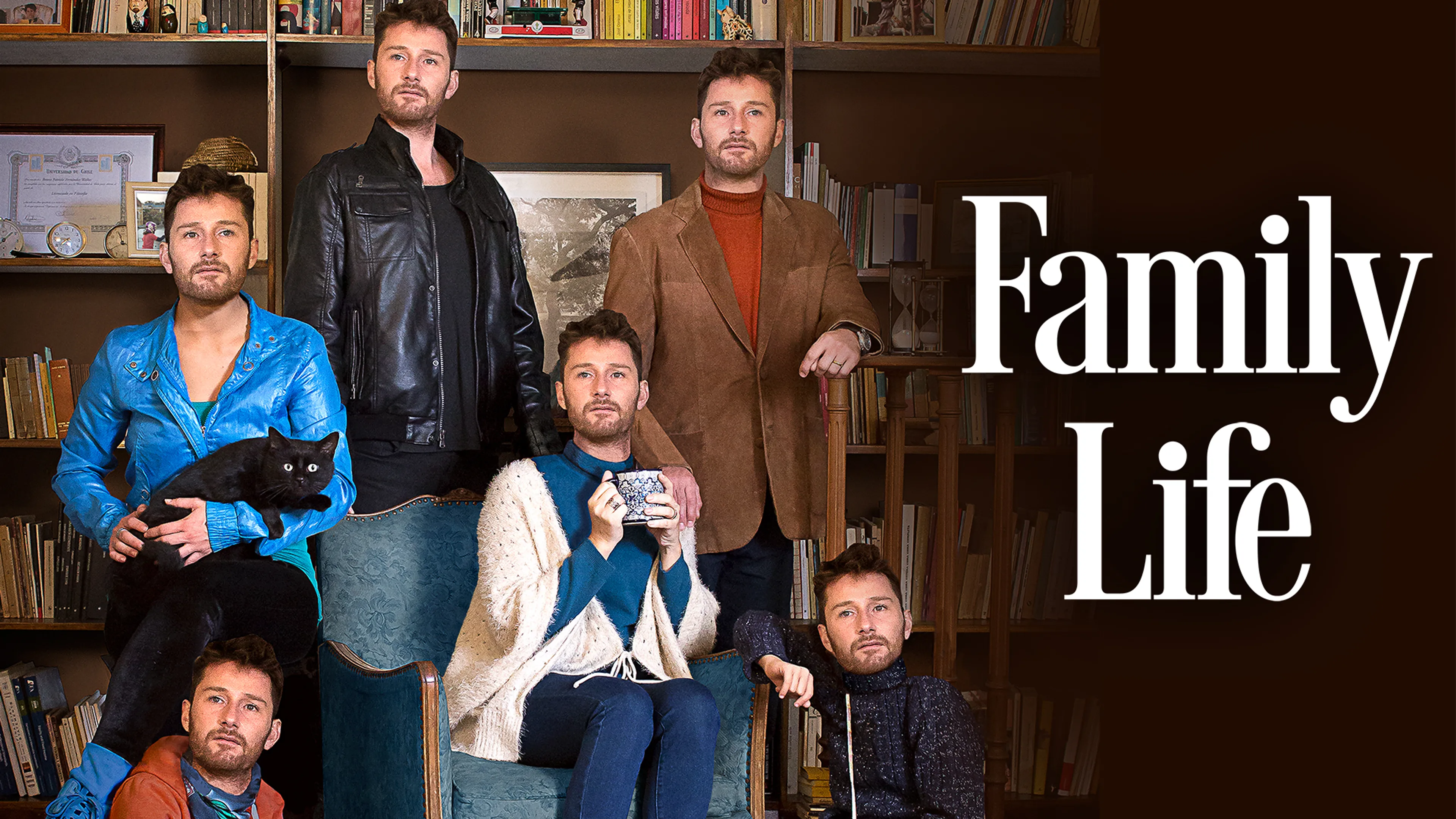 Family Life poster
